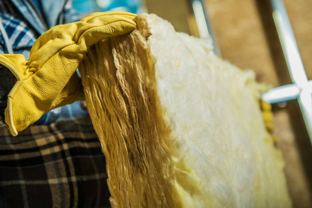 Best Wall Insulation Contractor  in Buckeystown, MD