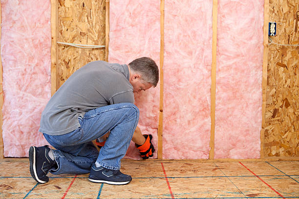 Best Wall Insulation Contractor  in Buckeystown, MD